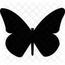 Butterfly Moth Bird Icon