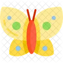 Butterfly  Icon