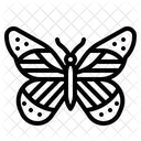 Butterfly  Icon
