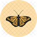 Butterfly Nature Animal Icon