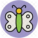 Butterfly  Icon