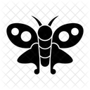 Butterfly Insect Bug Icon