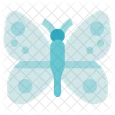 Butterfly  Icon