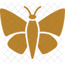 Butterfly Insect Lepidoptera Icon