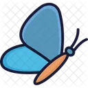 Butterfly Insect Lepidoptera Icon
