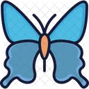 Butterfly Insect Lepidoptera Icon