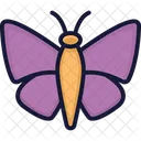 Butterfly Insect Lepidoptera Icon
