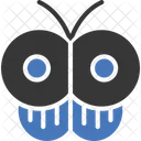 Butterfly  Icon