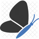 Butterfly  Icon