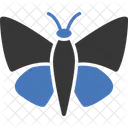 Butterfly  Icon