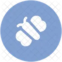 Butterfly  Icon
