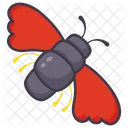 Butterfly  Icon
