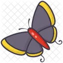 Butterfly  Icon