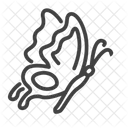 Butterfly  Icon