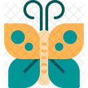 Butterfly  Icon