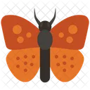 Butterfly  Icon