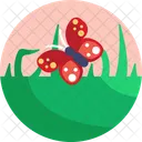 Butterfly  Icon