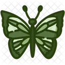 Butterfly  Icon