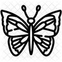 Butterfly  Icon