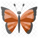 Butterfly  Icon