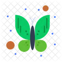 Butterfly  Icon