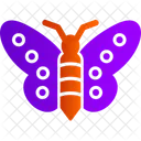 Butterfly  Icon