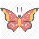 Butterfly  Icon