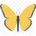 Butterfly  Icon