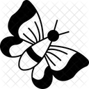 Butterfly  Icon