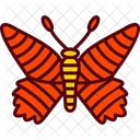 Butterfly  Icon