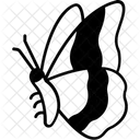 Butterfly Insect Moth Icon