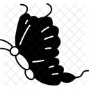 Butterfly  Icon