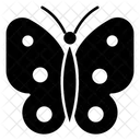 Butterfly  Icon