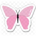 Butterfly  Icon