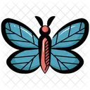 Butterfly Insect Nature Icon