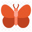 Insect Nature Fly Icon