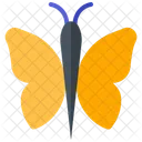 Butterfly Insect  Icon