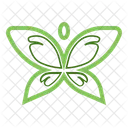 Butterfly Logo  Icon