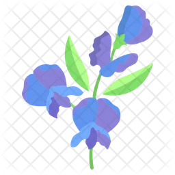 Butterfly Pea  Icon