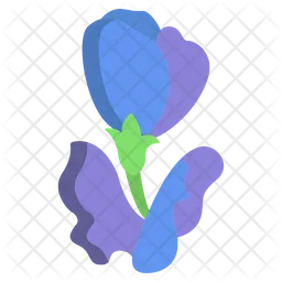 Butterfly Pea  Icon