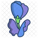 Butterfly Pea Flower Flowers Icon