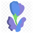 Butterfly Pea Flower Flowers Icon