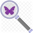 Butterfly Research  Icon