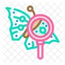 Butterfly Search Junates Butterrfly Scan Icon