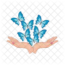 Summer Nature Spring Icon