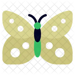 Butterfly wing  Icon