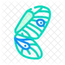 Butterfly Wing  Icon