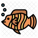 Butterflyfish  Icon