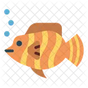 Butterflyfish  アイコン