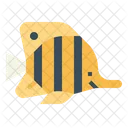 Butterflyfish  Icon